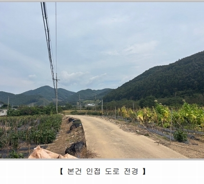 2025타경4698 충청북도 보은군 산외면 길탕리 217-1 농지 경매 이미지