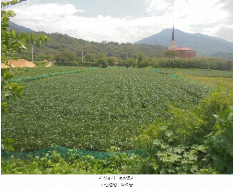 2023타경1728 충청북도 충주시 동량면 조동리 1345-1 농지 경매 이미지