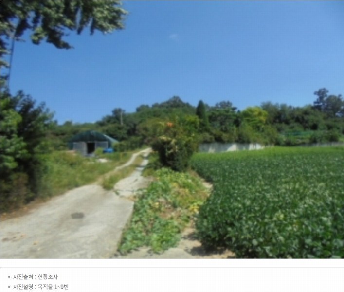 2024타경2537 충청북도 음성군 원남면 상노리 347-3 농지 경매 이미지