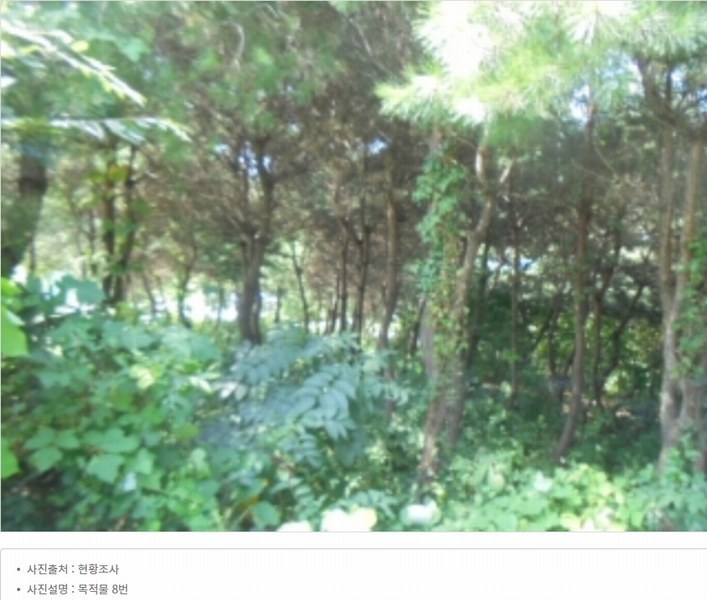 2024타경2537 충청북도 음성군 원남면 상노리 347-3 농지 경매 이미지