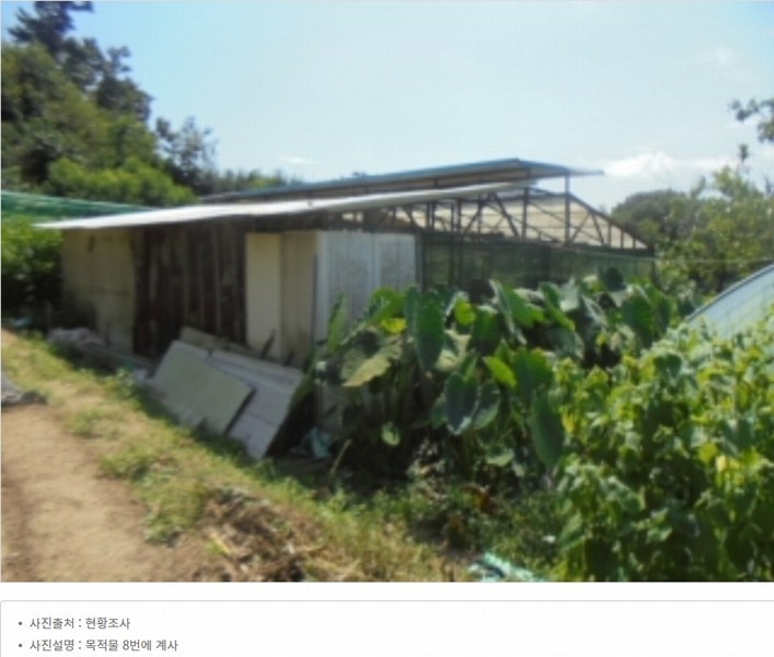 2024타경2537 충청북도 음성군 원남면 상노리 347-3 농지 경매 이미지