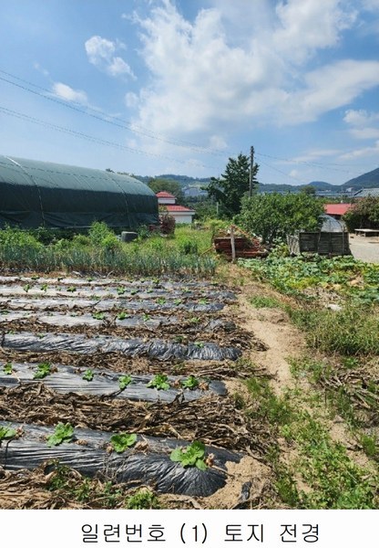 2024타경2537 충청북도 음성군 원남면 상노리 347-3 농지 경매 이미지