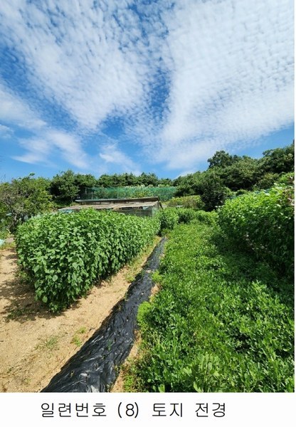 2024타경2537 충청북도 음성군 원남면 상노리 347-3 농지 경매 이미지