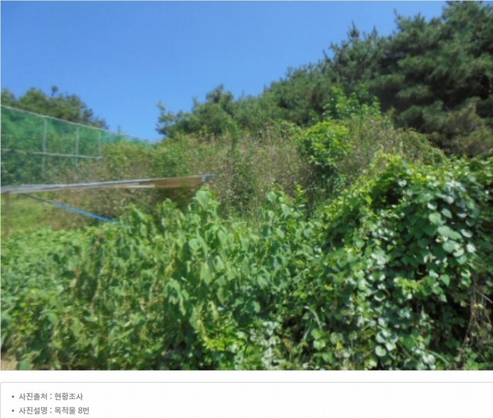 2024타경2537 충청북도 음성군 원남면 상노리 347-3 농지 경매 이미지