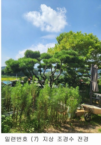 2024타경2537 충청북도 음성군 원남면 상노리 347-3 농지 경매 이미지