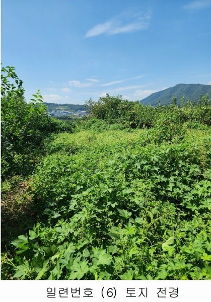 2024타경2537 충청북도 음성군 원남면 상노리 347-3 농지 경매 이미지