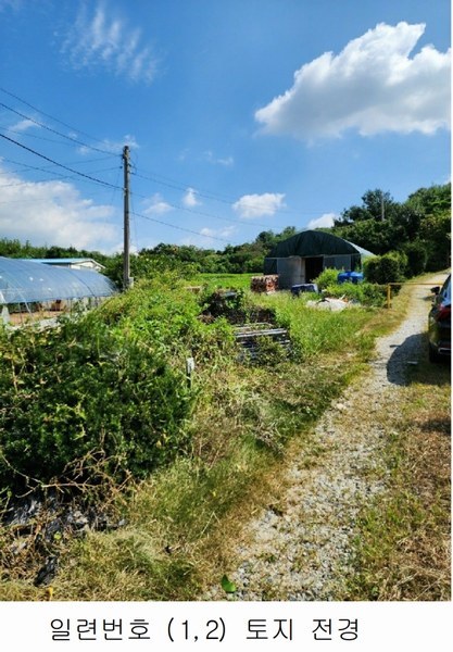2024타경2537 충청북도 음성군 원남면 상노리 347-3 농지 경매 이미지