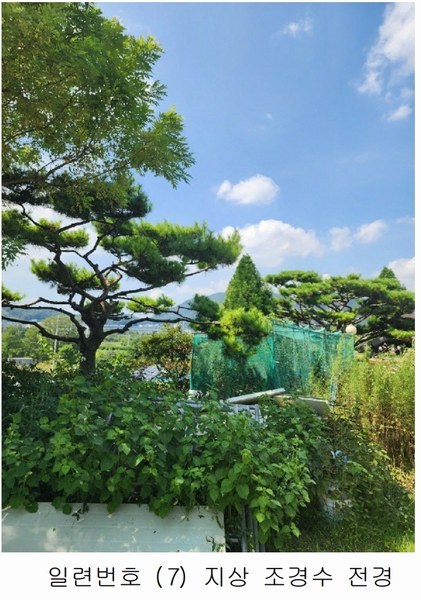 2024타경2537 충청북도 음성군 원남면 상노리 347-3 농지 경매 이미지