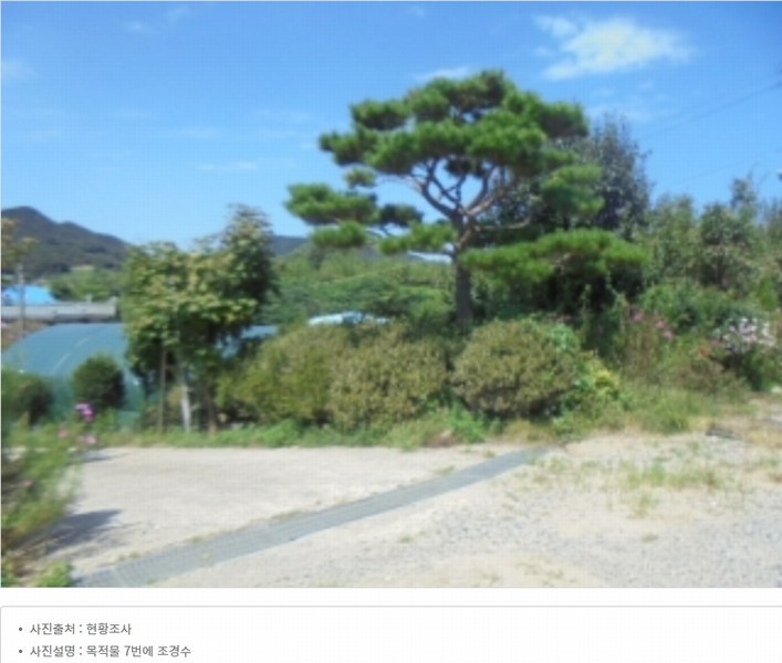 2024타경2537 충청북도 음성군 원남면 상노리 347-3 농지 경매 이미지
