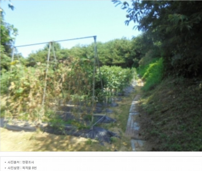 2024타경2537 충청북도 음성군 원남면 상노리 347-3 농지 경매 이미지