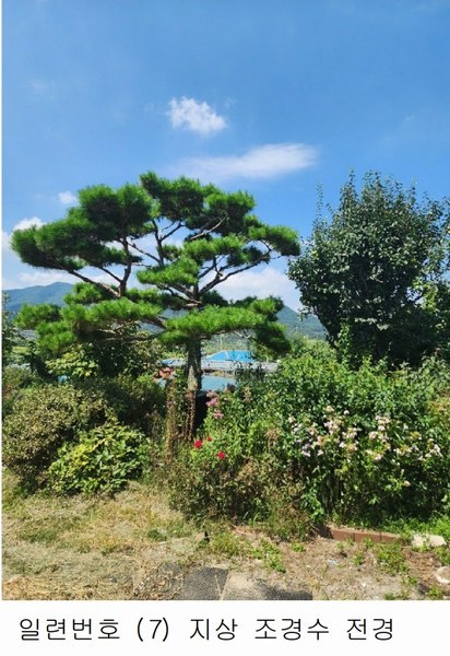 2024타경2537 충청북도 음성군 원남면 상노리 347-3 농지 경매 이미지