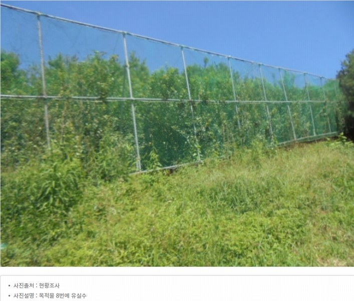 2024타경2537 충청북도 음성군 원남면 상노리 347-3 농지 경매 이미지