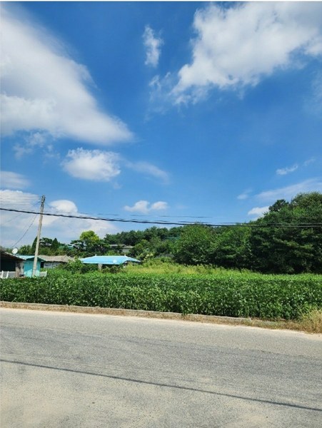 2024타경2537 충청북도 음성군 원남면 상노리 347-3 농지 경매 이미지