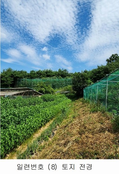 2024타경2537 충청북도 음성군 원남면 상노리 347-3 농지 경매 이미지