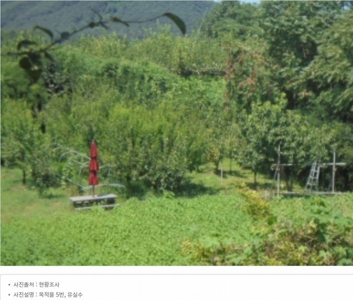2024타경2537 충청북도 음성군 원남면 상노리 347-3 농지 경매 이미지