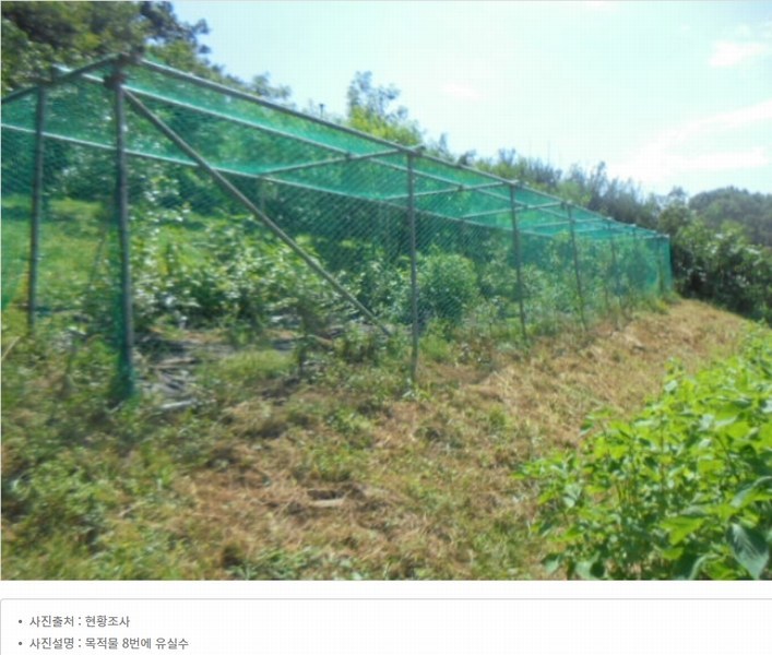 2024타경2537 충청북도 음성군 원남면 상노리 347-3 농지 경매 이미지