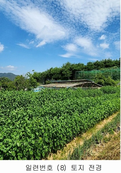 2024타경2537 충청북도 음성군 원남면 상노리 347-3 농지 경매 이미지