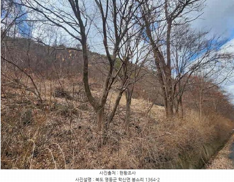 2025타경10103 충청북도 영동군 학산면 봉소리 1364-2 농지 경매 이미지