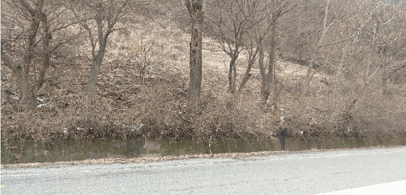 2025타경10103 충청북도 영동군 학산면 봉소리 1364-2 농지 경매 이미지