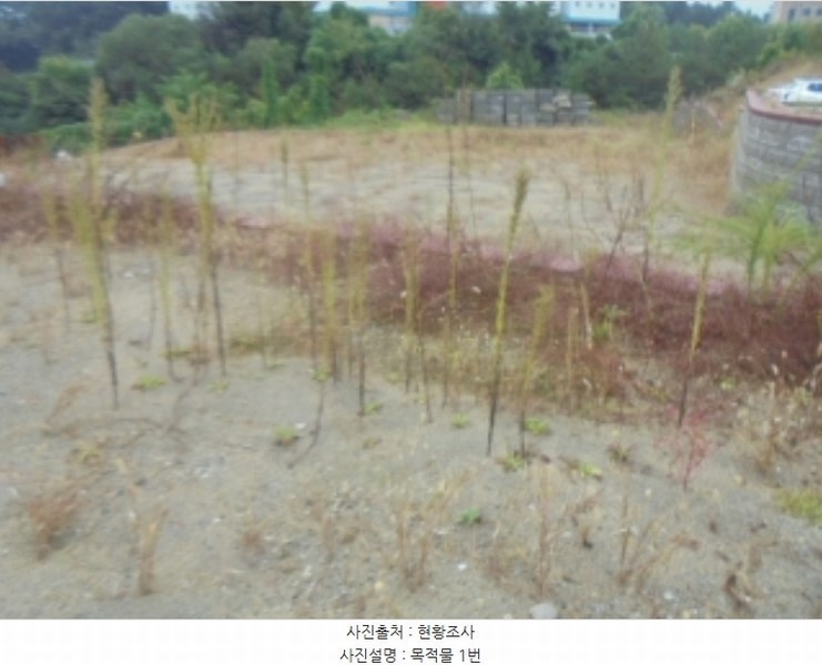 2024타경3042 충청북도 충주시 대소원면 검단리 산16-1 임야 경매 이미지