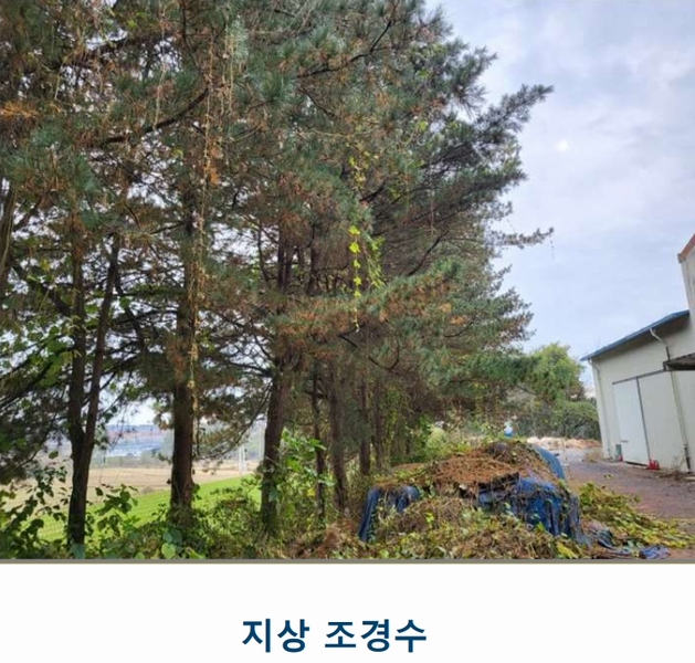 2024타경3233 충청북도 음성군 금왕읍 사창리 2-2 공장 경매 이미지