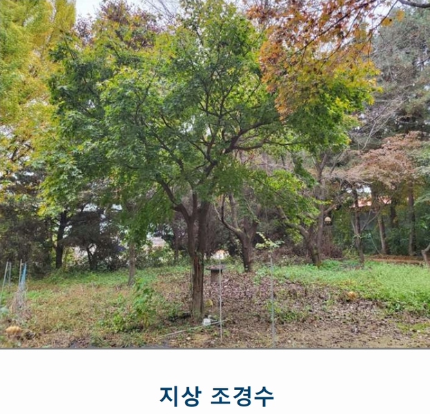 2024타경3233 충청북도 음성군 금왕읍 사창리 2-2 공장 경매 이미지
