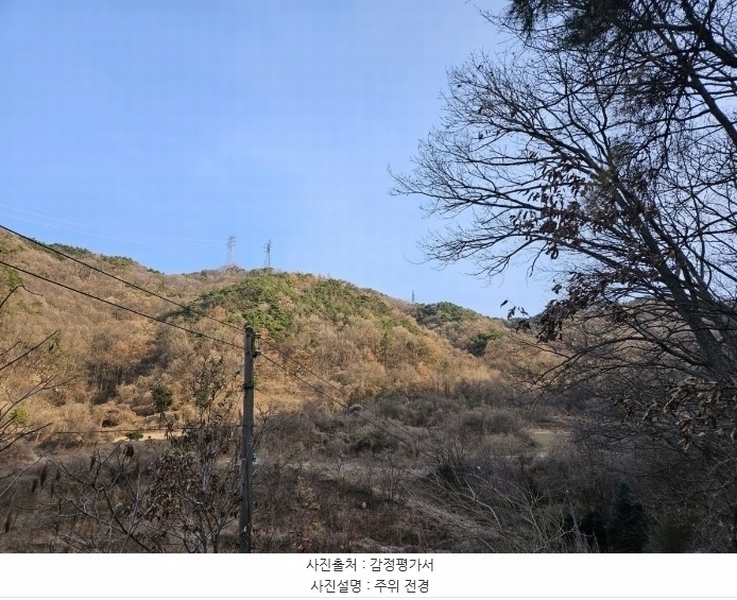 2024타경3561 충청북도 충주시 호암동 산24-3 임야 경매 이미지