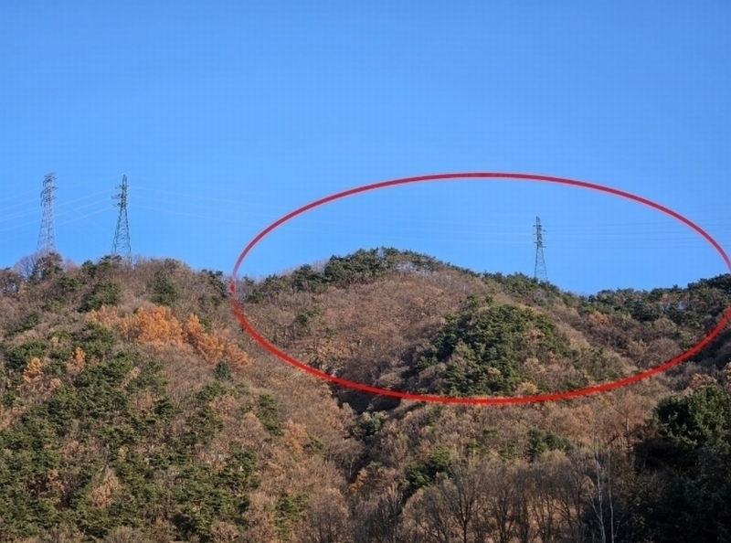 2024타경3561 충청북도 충주시 호암동 산24-3 임야 경매 이미지