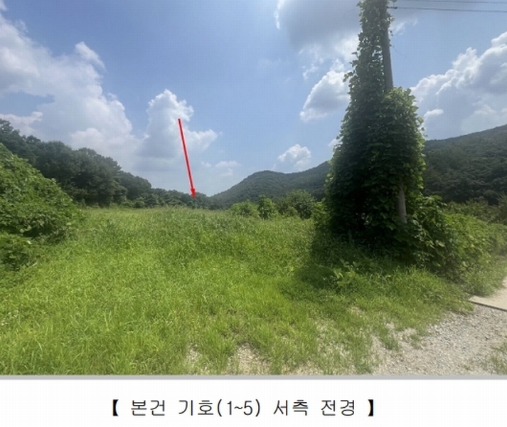 2024타경33593 충청북도 충주시 앙성면 조천리 343-1 과수원 경매 이미지