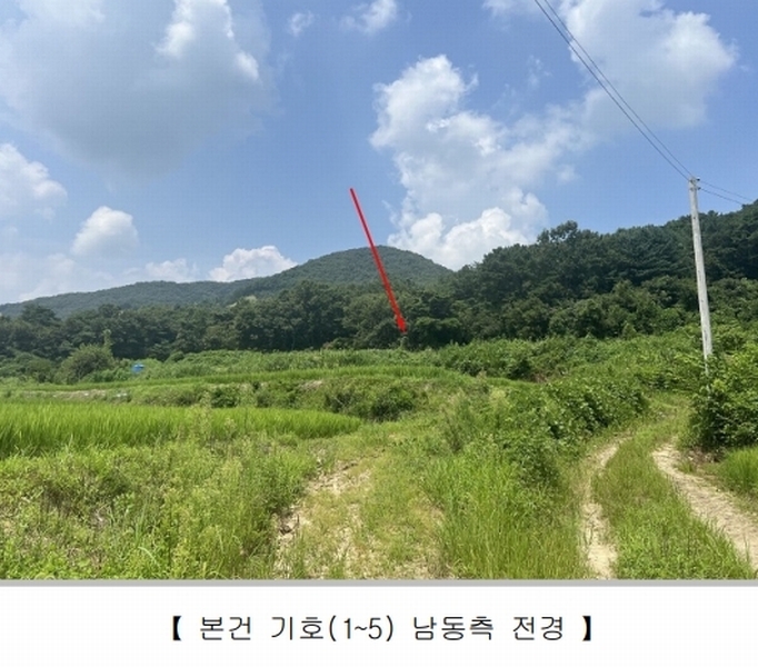 2024타경33593 충청북도 충주시 앙성면 조천리 343-1 과수원 경매 이미지