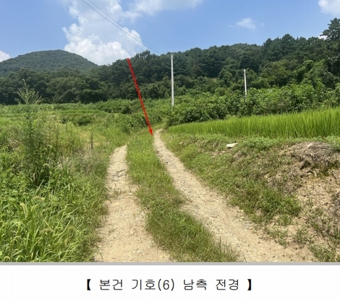 2024타경33593 충청북도 충주시 앙성면 조천리 343-1 과수원 경매 이미지