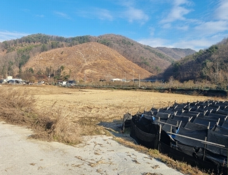 2024타경35797 충청북도 음성군 원남면 보천리 138 농지 경매 이미지
