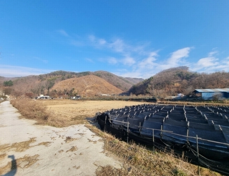 2024타경35797 충청북도 음성군 원남면 보천리 138 농지 경매 이미지