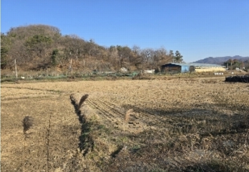 2024타경35797 충청북도 음성군 원남면 보천리 138 농지 경매 이미지