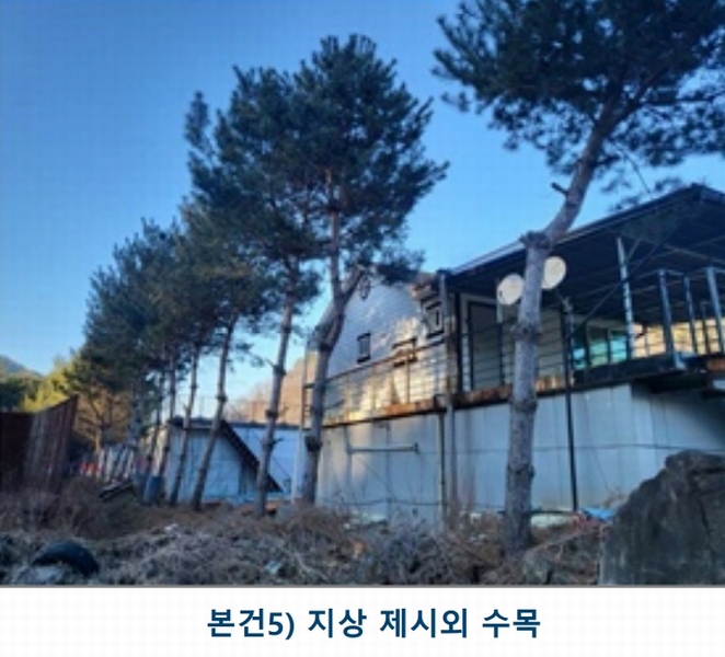 2024타경36325 충청북도 충주시 살미면 세성리 431-1 농지 경매 이미지