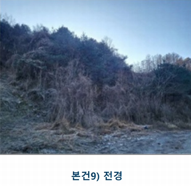 2024타경36325 충청북도 충주시 살미면 세성리 431-1 농지 경매 이미지
