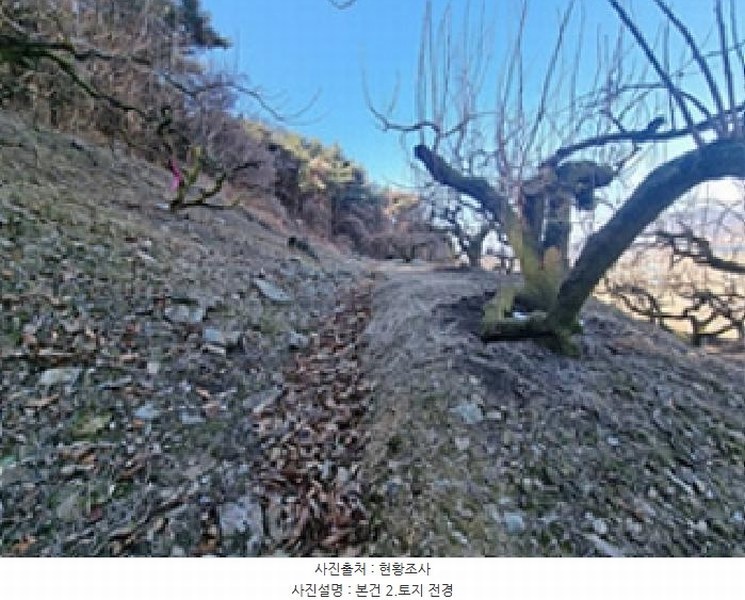 2025타경194 경상남도 창원시 의창구 북면 하천리 131 농지 경매 이미지