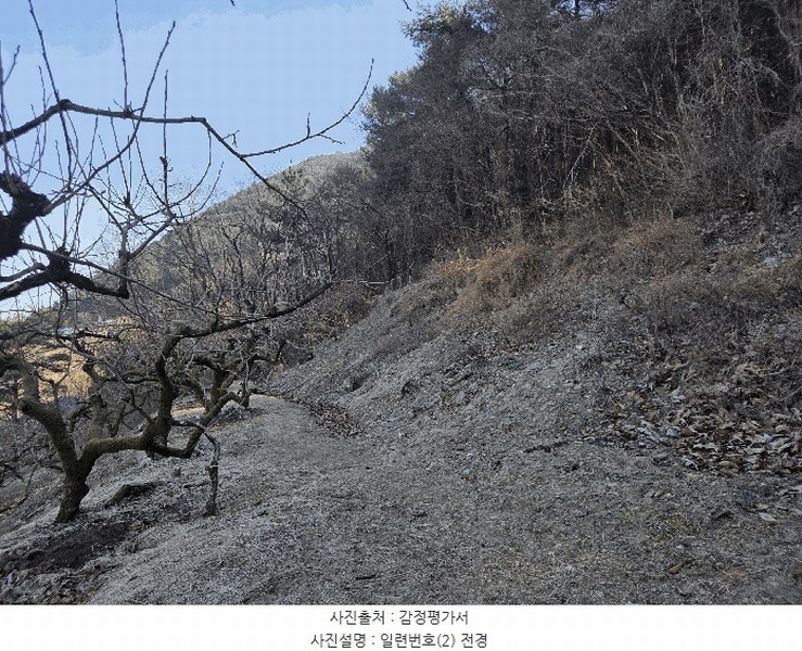 2025타경194 경상남도 창원시 의창구 북면 하천리 131 농지 경매 이미지