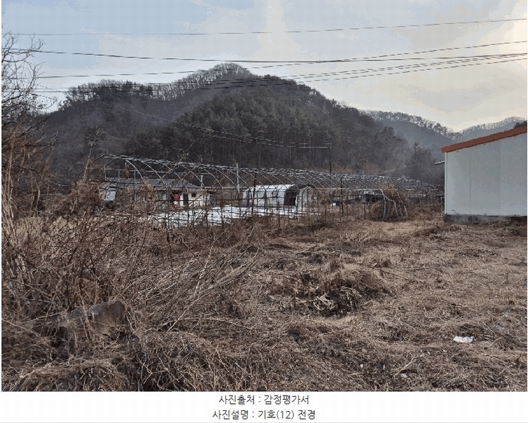 2025타경30065 충청북도 음성군 음성읍 삼생리 973-6 농지 경매 이미지