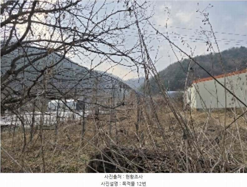 2025타경30065 충청북도 음성군 음성읍 삼생리 973-6 농지 경매 이미지