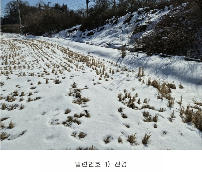 2025타경30218 충청북도 음성군 소이면 대장리 7-2 농지 경매 이미지