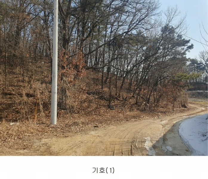 2025타경30356 충청북도 음성군 삼성면 상곡리 산50-1 임야 경매 이미지