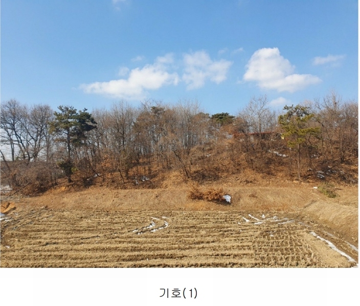 2025타경30356 충청북도 음성군 삼성면 상곡리 산50-1 임야 경매 이미지