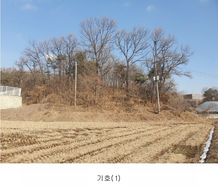 2025타경30356 충청북도 음성군 삼성면 상곡리 산50-1 임야 경매 이미지