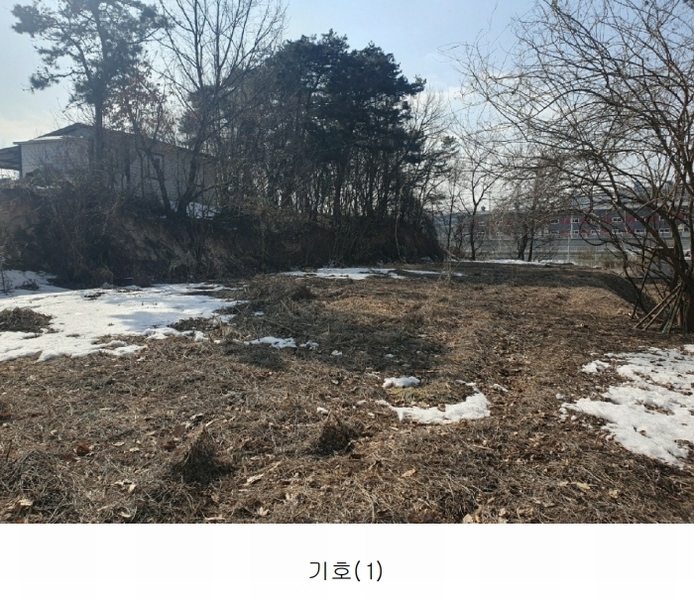 2025타경30356 충청북도 음성군 삼성면 상곡리 산50-1 임야 경매 이미지