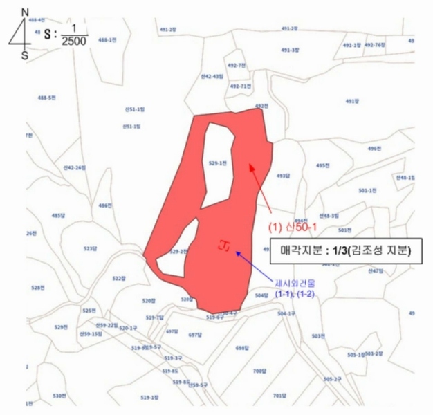 2025타경30356 충청북도 음성군 삼성면 상곡리 산50-1 임야 경매 이미지