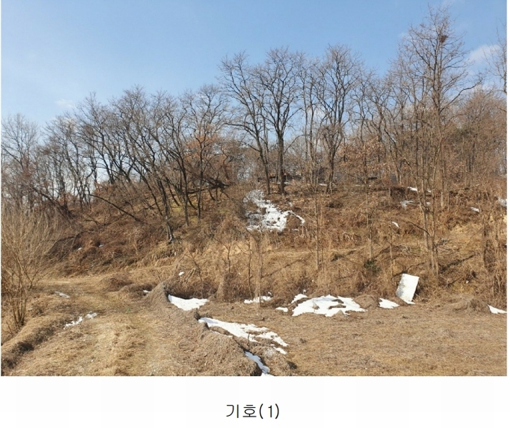 2025타경30356 충청북도 음성군 삼성면 상곡리 산50-1 임야 경매 이미지