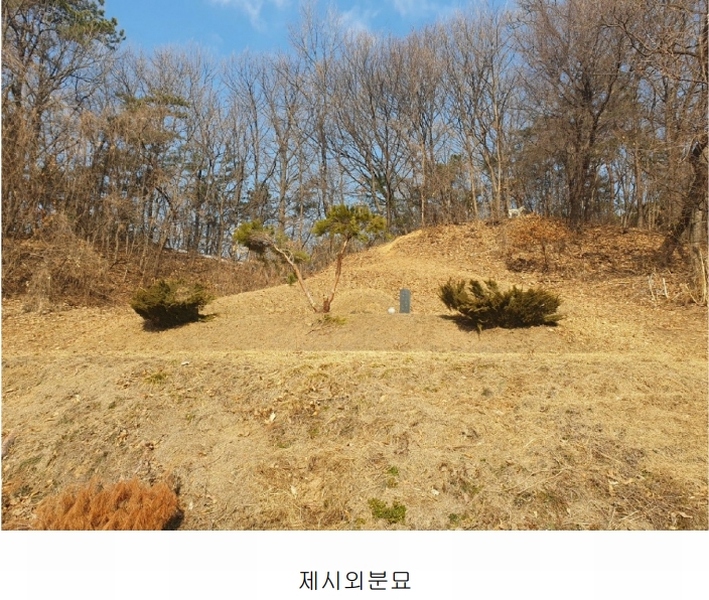 2025타경30356 충청북도 음성군 삼성면 상곡리 산50-1 임야 경매 이미지