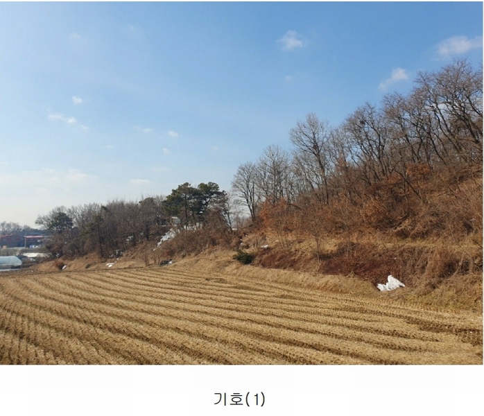 2025타경30356 충청북도 음성군 삼성면 상곡리 산50-1 임야 경매 이미지