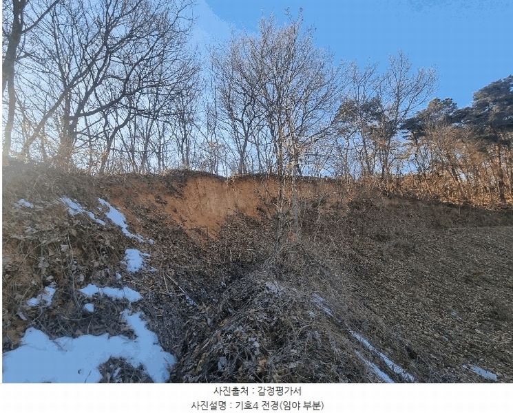 2025타경30366 충청북도 음성군 대소면 수태리 593-1 임야 경매 이미지